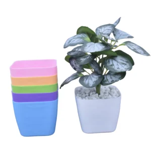 Multicolor Square Plastic Plant Pots – 4.5 Inch Indoor & Outdoor Planters (Pack of 6)