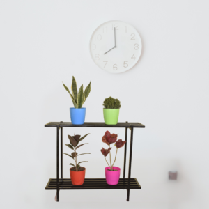 Double Layer Metal Plant Stand – 35 Inch | Strong MS Steel Multi-Pot Stand for Indoor & Outdoor Use