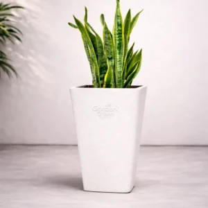 Garden Green ST Rotomold Stone Finish Planter – Durable outdoor planter with natural stone texture, weather-resistant rotomold design, ideal for garden, balcony, and home décor use